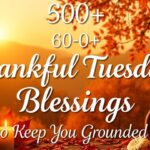600+ Thankful Tuesday Blessings to Keep You Grounded